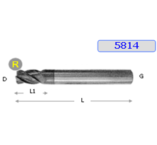 FRESA HM TORICA 4T 50 RC